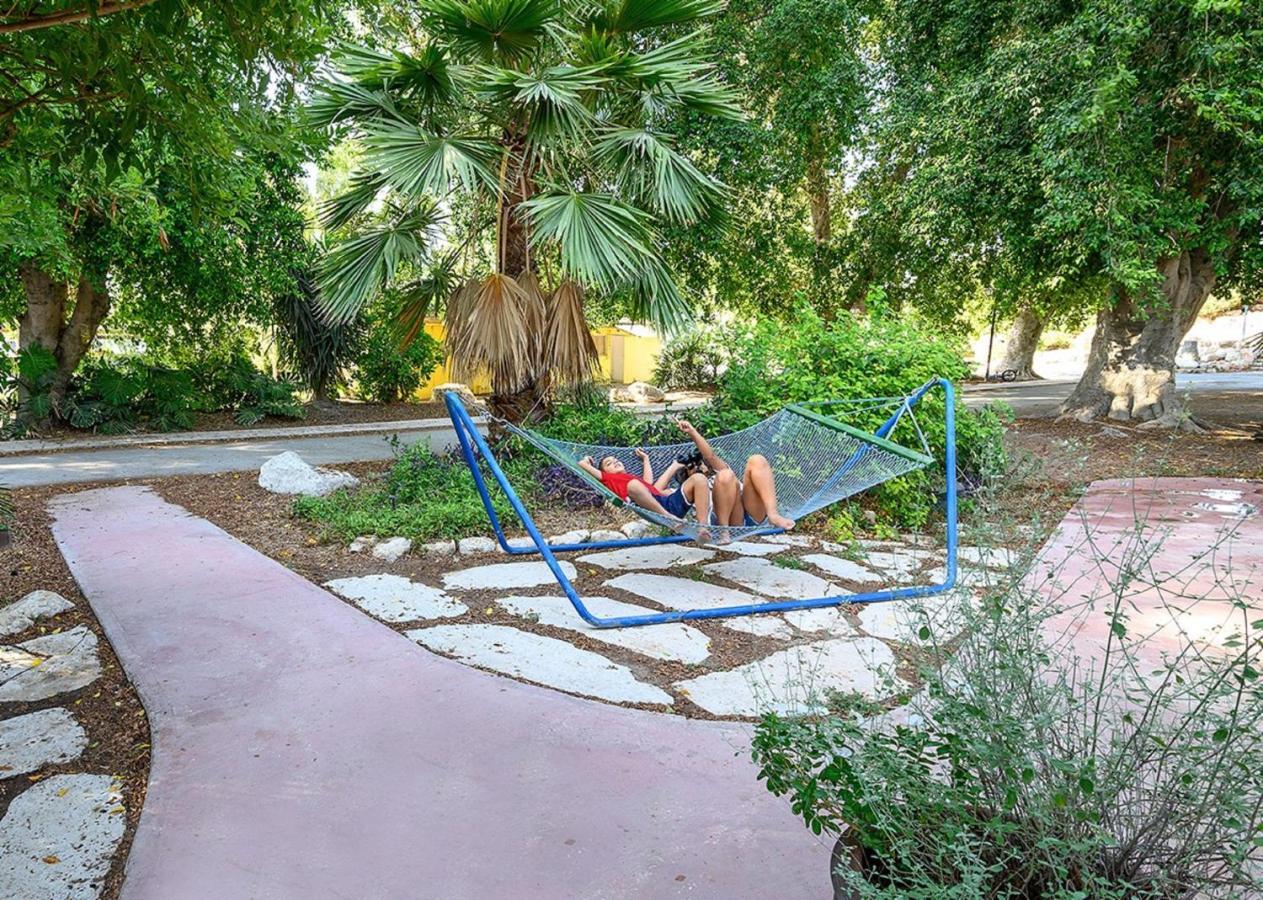 Jordan Valley Birding Lodge Kefar Ruppin Kültér fotó